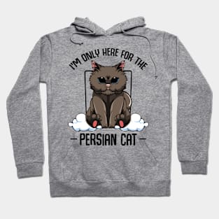 Persian Cat Hoodie